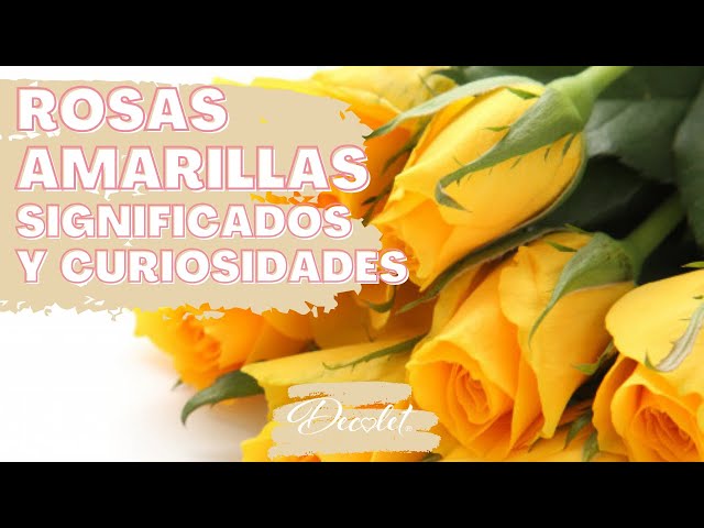 Vídeo relacionado con El lenguaje de las flores