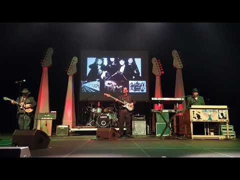 The VIVA Band - Summer of Love