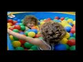 Oliver Gymboree BabyTV