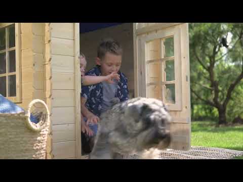 YouTube video thumbnail