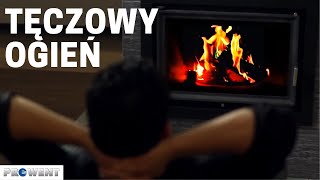 Hansa Tęczowe płomienie (Zdjęcie 3)