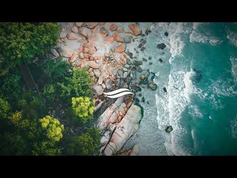 BIN, L7NNON, Dfideliz, Califfa - Berenice (LoWave Remix)