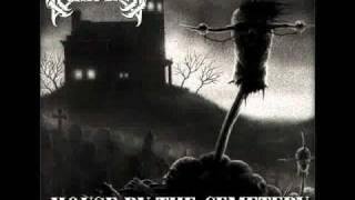 Mortician ~ Driller Killer