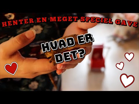 HENTER EN MEGET SPECIEL GAVE / KAN I GÆTTE HVAD DET ER?