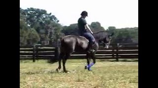 Mighty Hercules riding under Robert