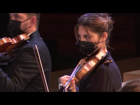 Rossini : Duo des chats (version spéciale)