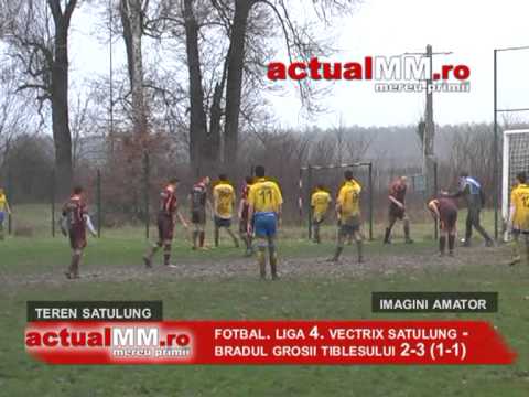 vectrix - bradul actualmm