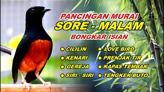 Download lagu 🔴 LIVE 57 - Pancingan Murai Batu Malam Hari Full Isian Tembakan Kasar Bikin Murai Bongkar Isian mp3 Download lagu 🔴 LIVE 57 - Pancingan Murai Batu Malam Hari Full Isian Tembakan Kasar Bikin Murai Bongkar Isian mp3