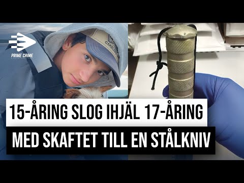 15-ÅRING SLOG IHJÄL 17-ÅRING MED SKAFTET TILL EN STÅLKNIV | HELA RÄTTEGÅNGEN