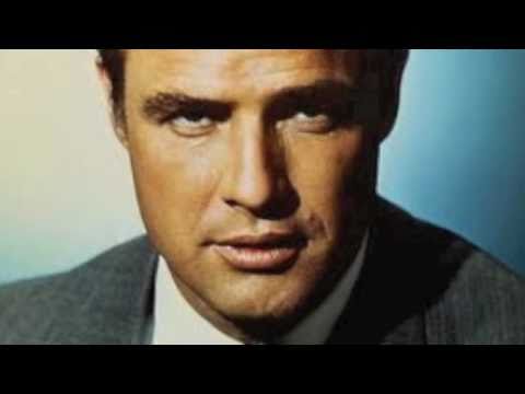 HeeeeEERZ ZSA ZSA! ...or... BRANDO is a HORSE of COURSE