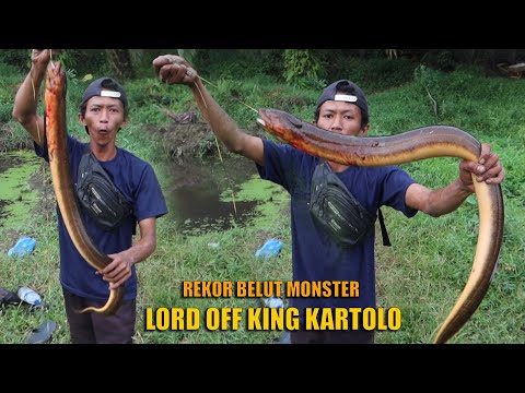 LORD KARTOLO'S MONSTER EEL RECORD WHICH WILL MAKE YOU JAW-DROP