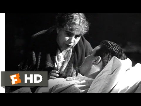 西部戦線異状なし