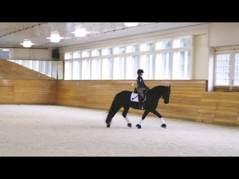 Tabitha ISF at Iron Spring Farm