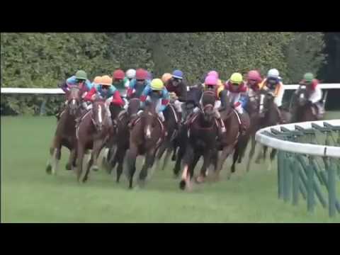 2016.05.29 Meguro Kinen (JPN) - Cryptogram