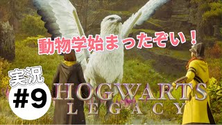 #9【ホグワーツレガシー】実況プレイ　いっぱい覚えた呪文が使いこなせません(動物学始まったよ)
