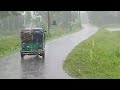 Rainy season Bangladesh | Rain sounds | Monsoon