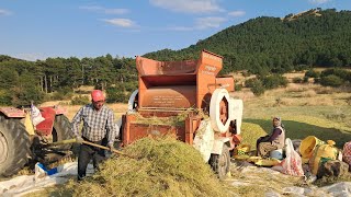 10 SAAT BOYUNCA ANASON HARMANI DÖVDÜK! 🌾 | Köyde Yaşamak Gerçekten Böy