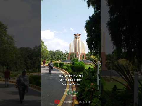 First Week at UAF 🎓 | New Beginnings, Campus Vibes & Student Life #asiauniversity #universitylife