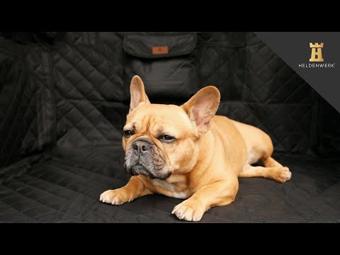 Heldenwerk Kofferraumschutz gesteppt für Hunde - Wasserdichte Hundedecke für dein Fahrzeug