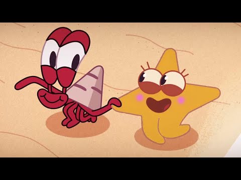 FALL IN LOVE 💖 NEW The Adventures of Bernie | Zig & Sharko - Cartoons for Kids
