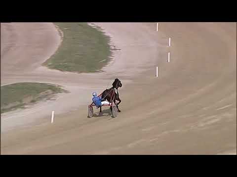 Napoli Trotto 13/10/2023 - 2ª prova di qualifica