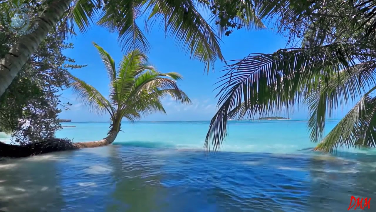 Buongiorno  mare mare mare