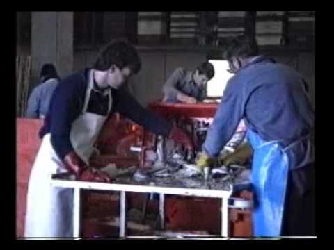 Vissorteren op Urk in de visafslag "in de Peken"