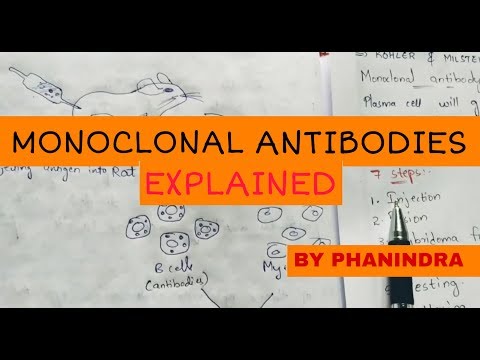 Hypersensitivity Type 1 and Type 2