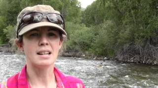 preview picture of video 'Hot Spots for Trout Citizen Temperature Monitoring Program - Roaring Fork Conservancy'
