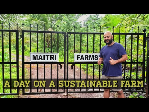 VLOG 16 | Maharashtra | Maitri Farms, Chandore | A Day on a Sustainable Farm