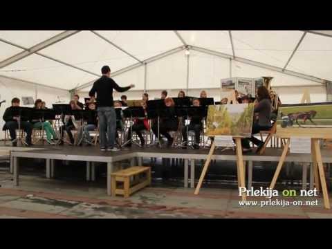 Nastop mladinskih godb v Ljutomeru