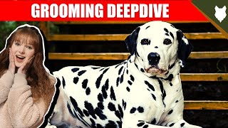 DALMATIAN GROOMING DEEPDIVE