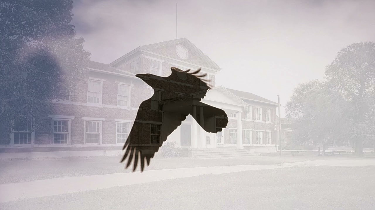 【空も飛べるはず】Covered by  ニジキユイYuiαA【歌ってみた】【懐メロ】  #Shorts