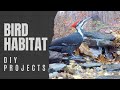 DIY Wild Bird Habitat Projects - Bird Pond, Stream, Dripper, Baths, & Puddle