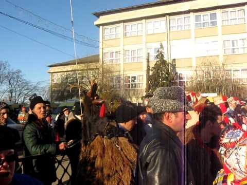 datini de  iarna Roznov Neamt.AVI