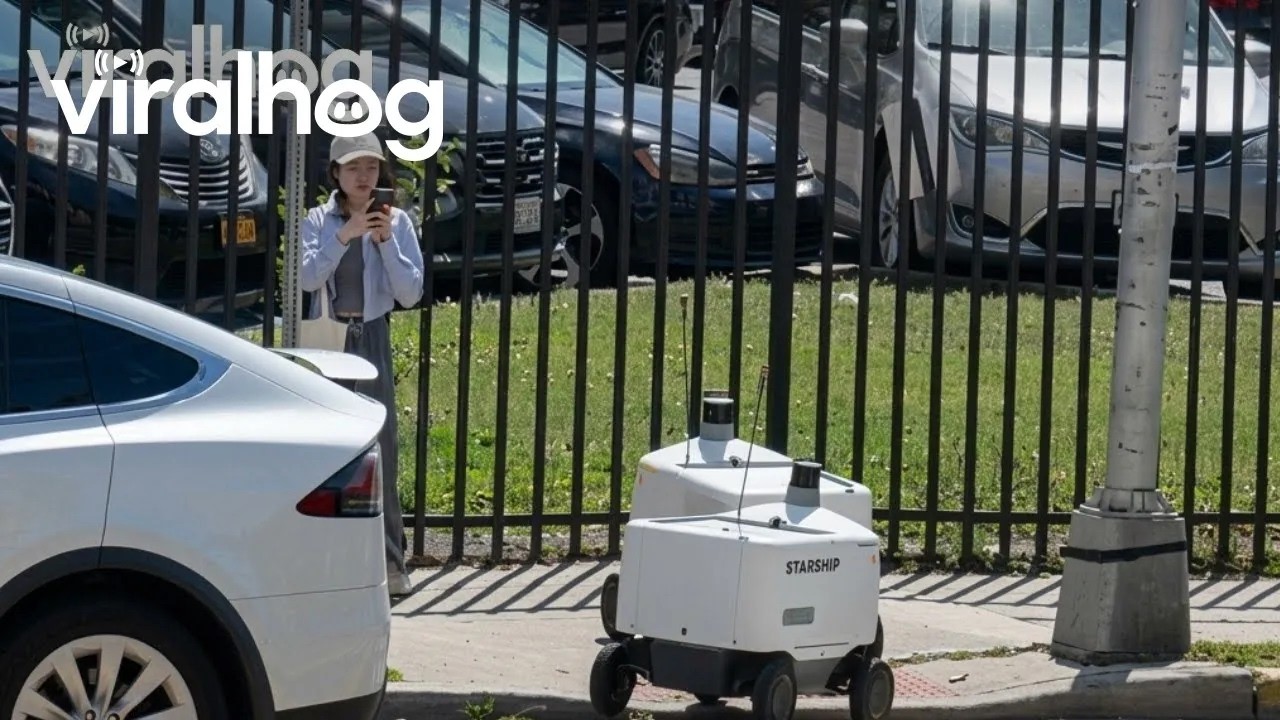 Crowd Cheers For Delivery Robots Crossing Street || ViralHog