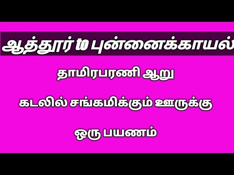 Authoor to Punnaikayal Road. ஆத்தூர் புன்னக்காயல் சாலை.