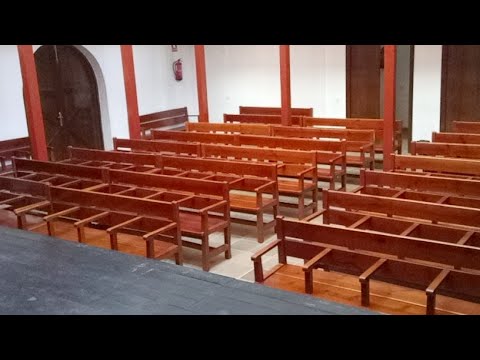 Subasta de Carros - Directo