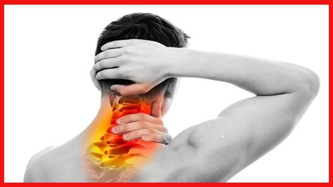 Watch La relación entre la columna vertebral y los órganos Now La relación entre la columna vertebral y los órganos