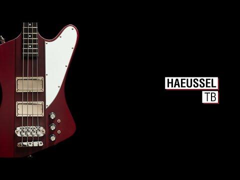 Haeussel TB - Maruszczyk Phoenix 4p 34" NTB