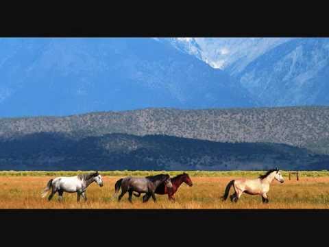 Old Paint - Chris LeDoux