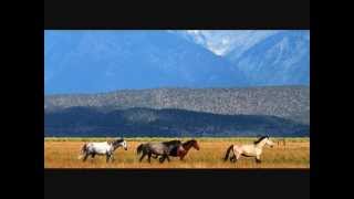 Chris LeDoux - Old Paint