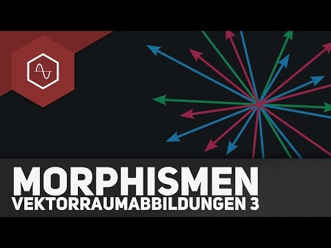 Homomorphism, Endomorphism and Co. – Vector Space Mappings 3