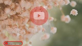 Download lagu lirik - Yuni Shara kau yang kusayang (cover) mp3