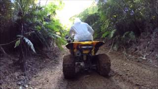 preview picture of video 'Quad Biking in New Zealand'