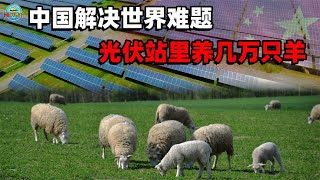 Re: [問卦] 你真的相信洗光電板的水沒毒?