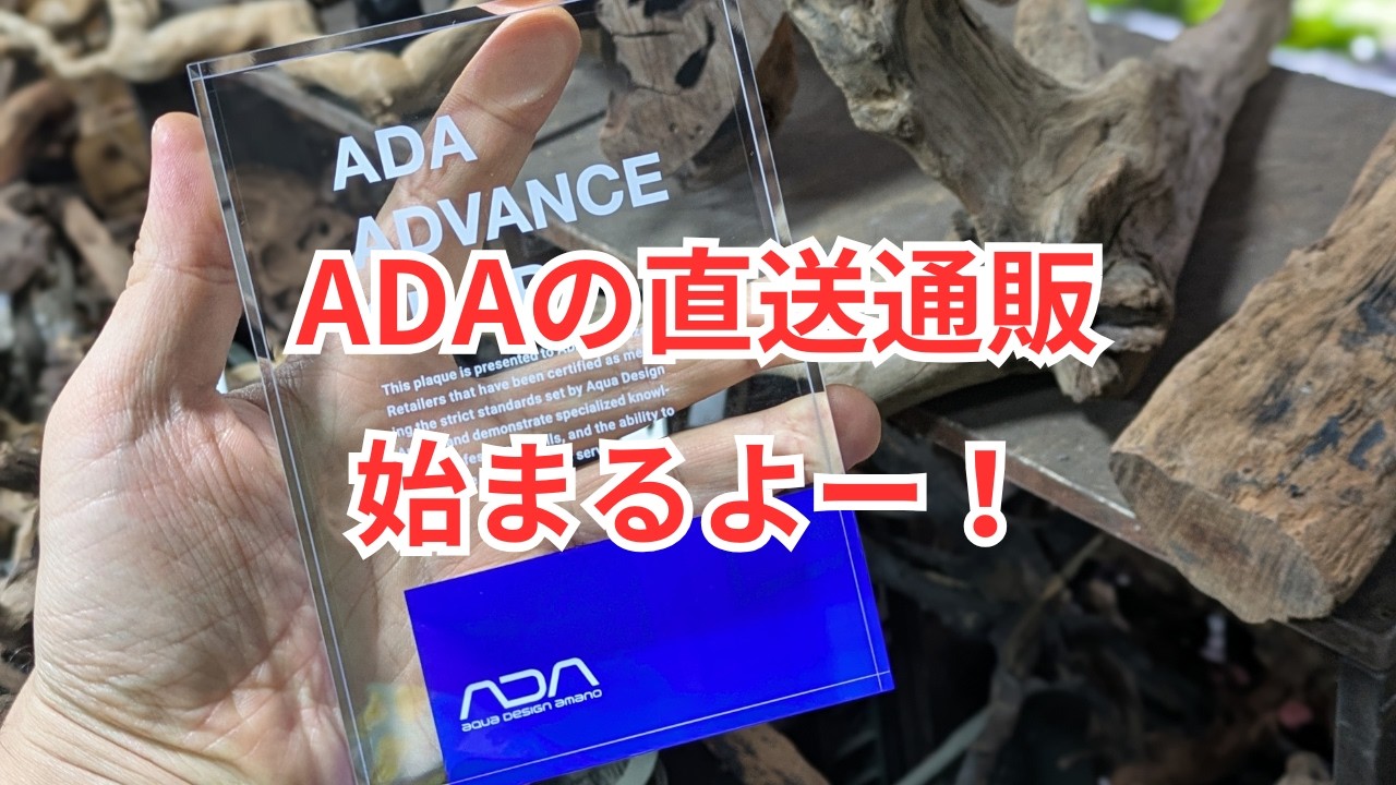 ADAの通販がついに解禁！ 注文方法は概要欄をご覧ください！