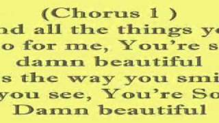 Johnny XE-So Damn Beautiful lyrics