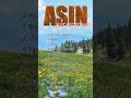 ASIN Best Love Songs 2024 - ASIN Album Nonstop Hits #asin