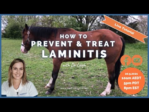 YouTube video about: How to treat hyperlipidemia in horses?